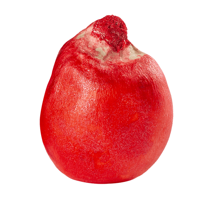 Дієго (ФАО 240)